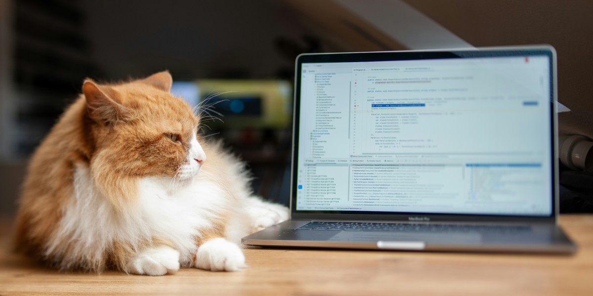 Cat sitting next to laptop which has coding on its screen
